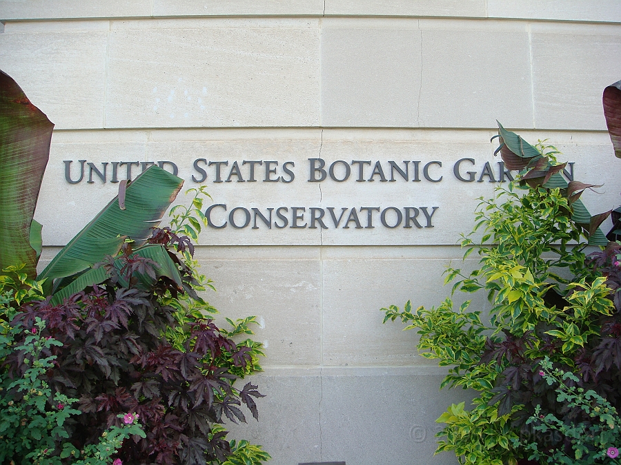 Washington DC [2009 July 04] 038.JPG - Scenes from The United States Botanic Garden
